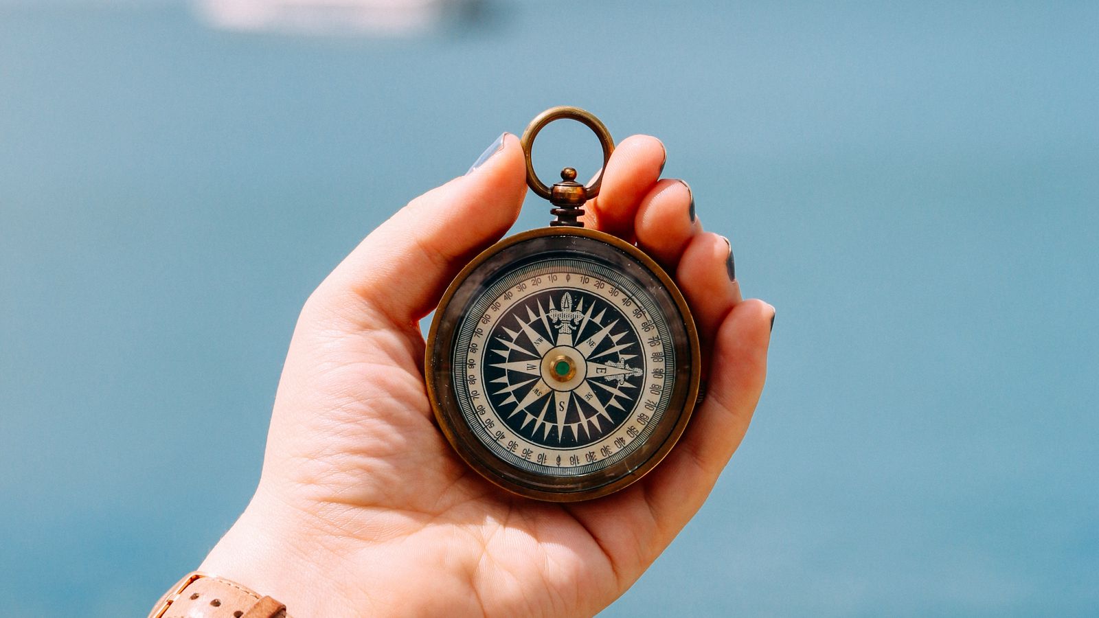 Leia mais sobre o artigo Dar Sentido à Vida